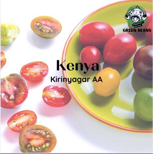 สารเมล็ดกาแฟ Kenya Kirinyaga AA++ Washed 2024