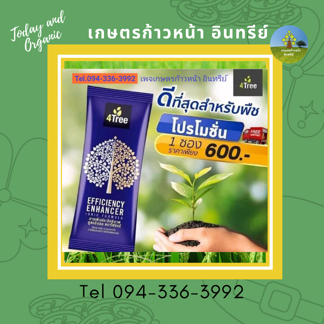 4Tree  1  ซอง (sachet)