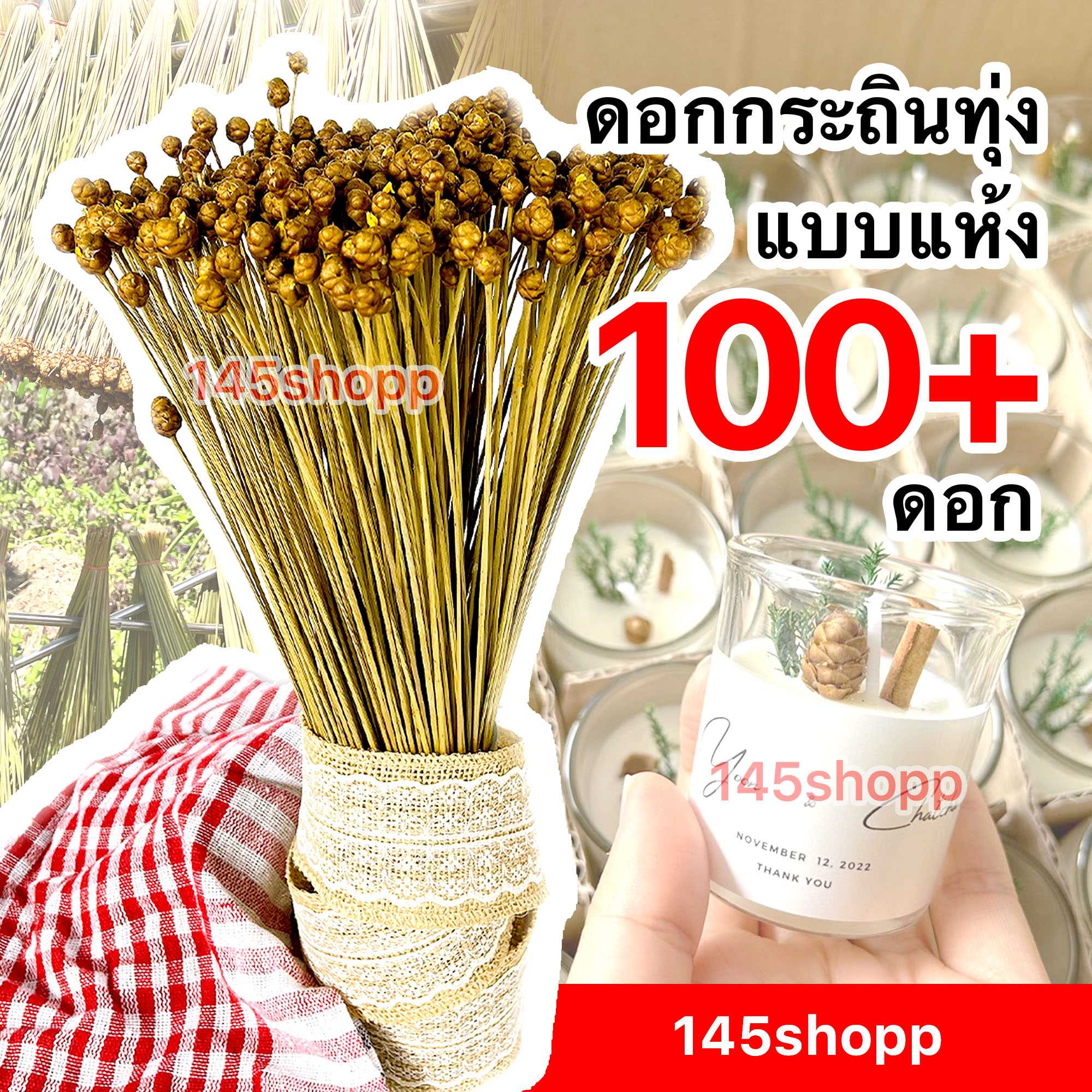 ดอกกระถินทุ่งแห้ง มัดใหญ่ ดอกไม้เเห้ง ดอกหญ้าแห้ง ใช้ตกแต่งเทียนหอม ทำของขวัย หรือพร้อพถ่ายรูป