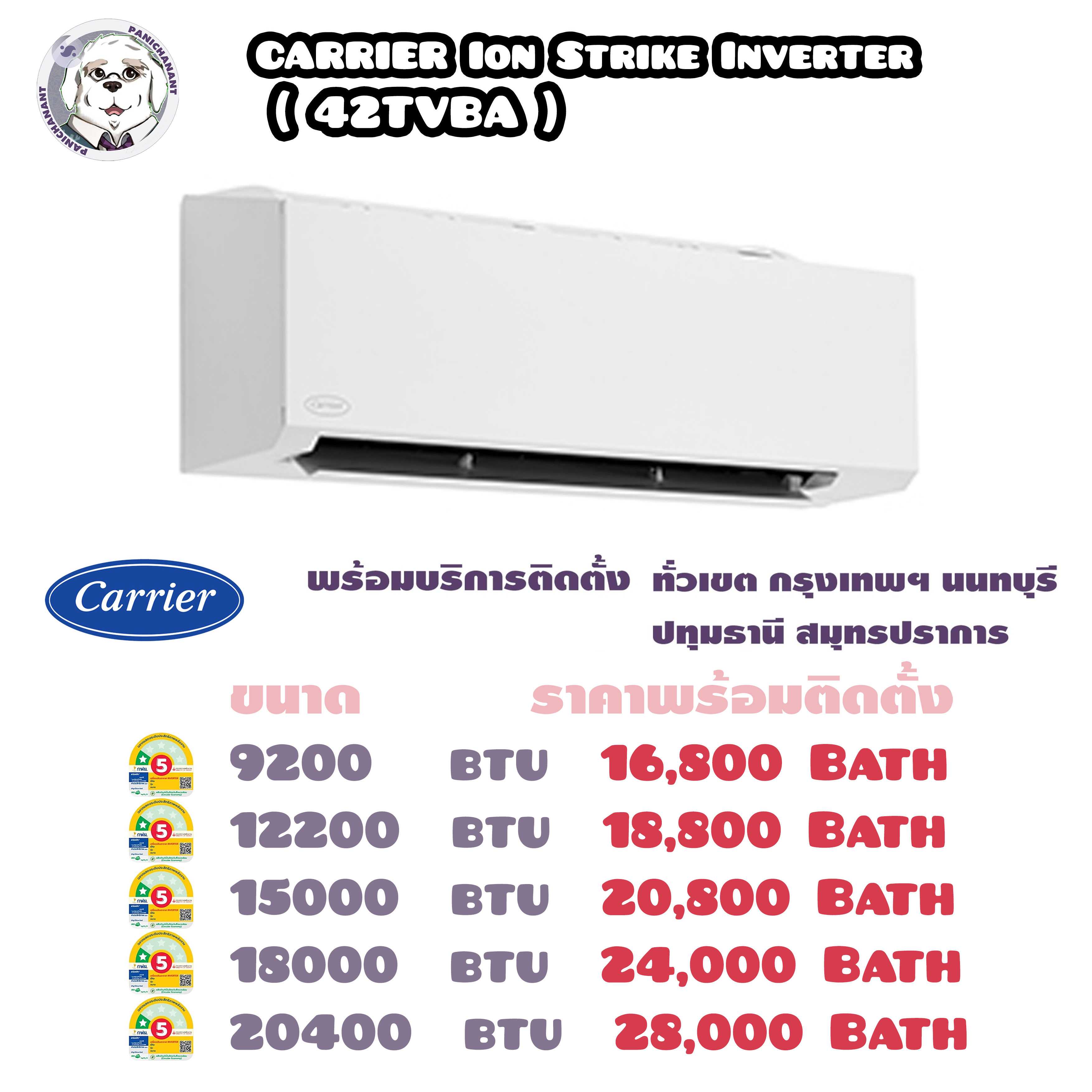 CARRIER ION Strike Inverter