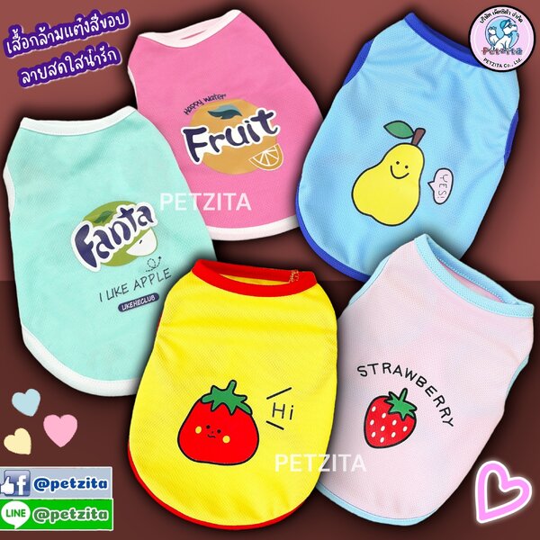 🇹🇭พร้อมส่ง🇹🇭 เสื้อกล้ามแต่งสีขอบ สีสันสดใส ลายน่ารัก for pet เสื้อผ้าสัตว์เลี้ยง สุนัข หมา แมว