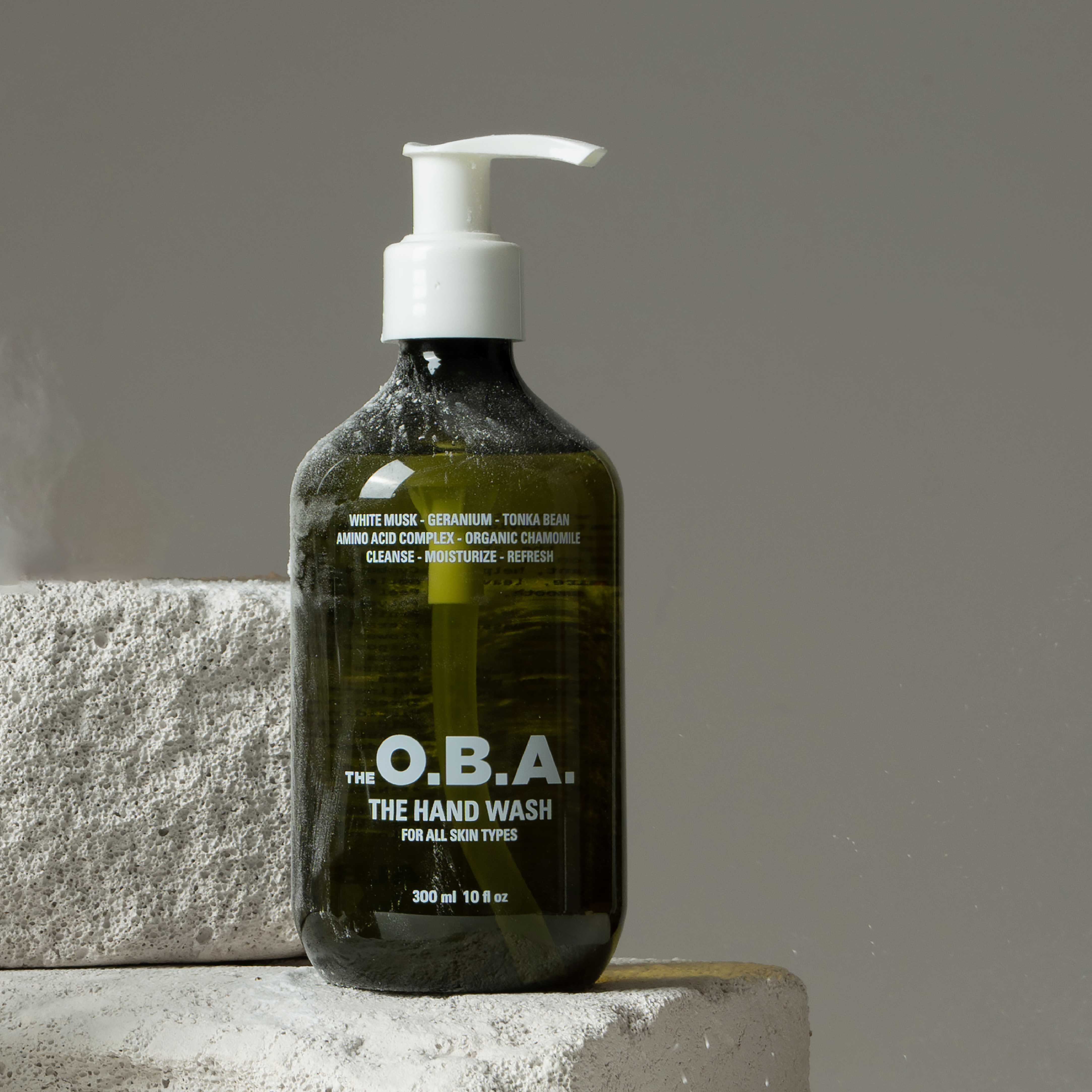 THE HAND WASH - ALB