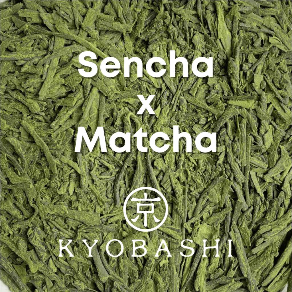 抹茶入り煎茶 ชาเขียว เซนฉะเบลนด์กับมัทฉะ