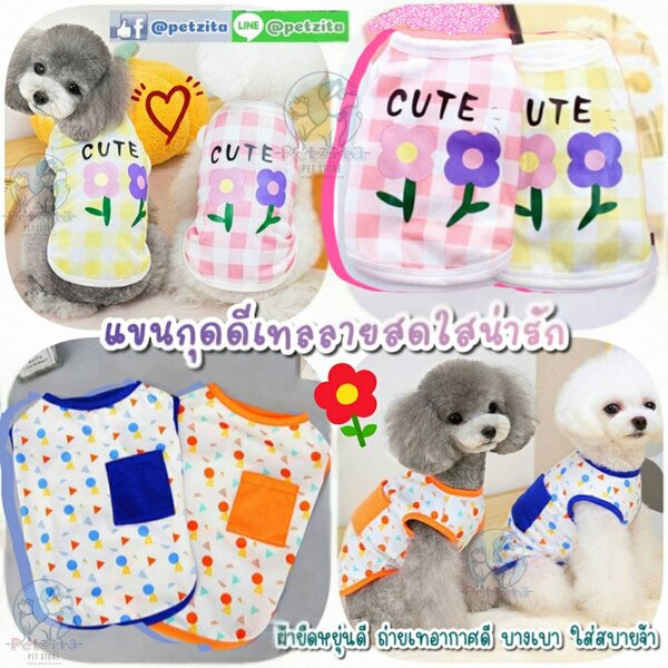 🇹🇭พร้อมส่ง🇹🇭 🌸💙🧡 เสื้อแขนกุดดีเทลลายสดใสน่ารัก ผ้าใส่สบายจ้า for pet เสื้อสุนัข เสื้อหมา ช...