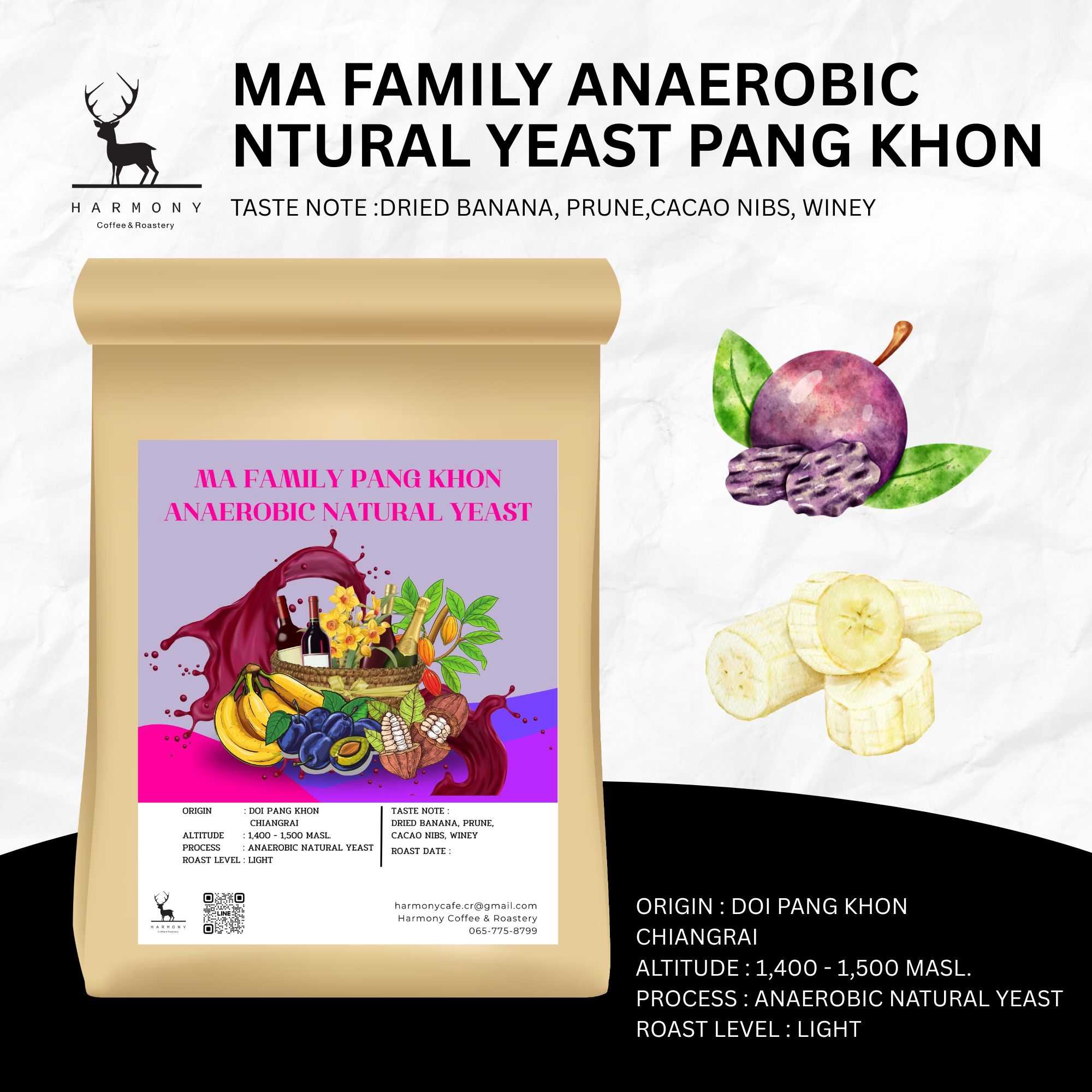 Ma Family Anaerobic Natural Yeast Pang Khon : Harmony coffee เมล็ดกาแฟคั่วอ่อน