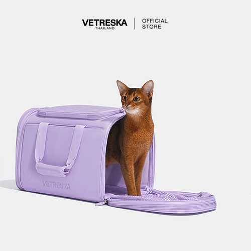 VETRESKA  Violet Voyage Pet Carrier
