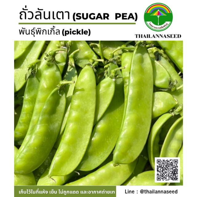ถั่วลันเตา พันธุ์พิกเกิ้ล ( ขนาด 5 กรัม ) รหัสสินค้า 4046