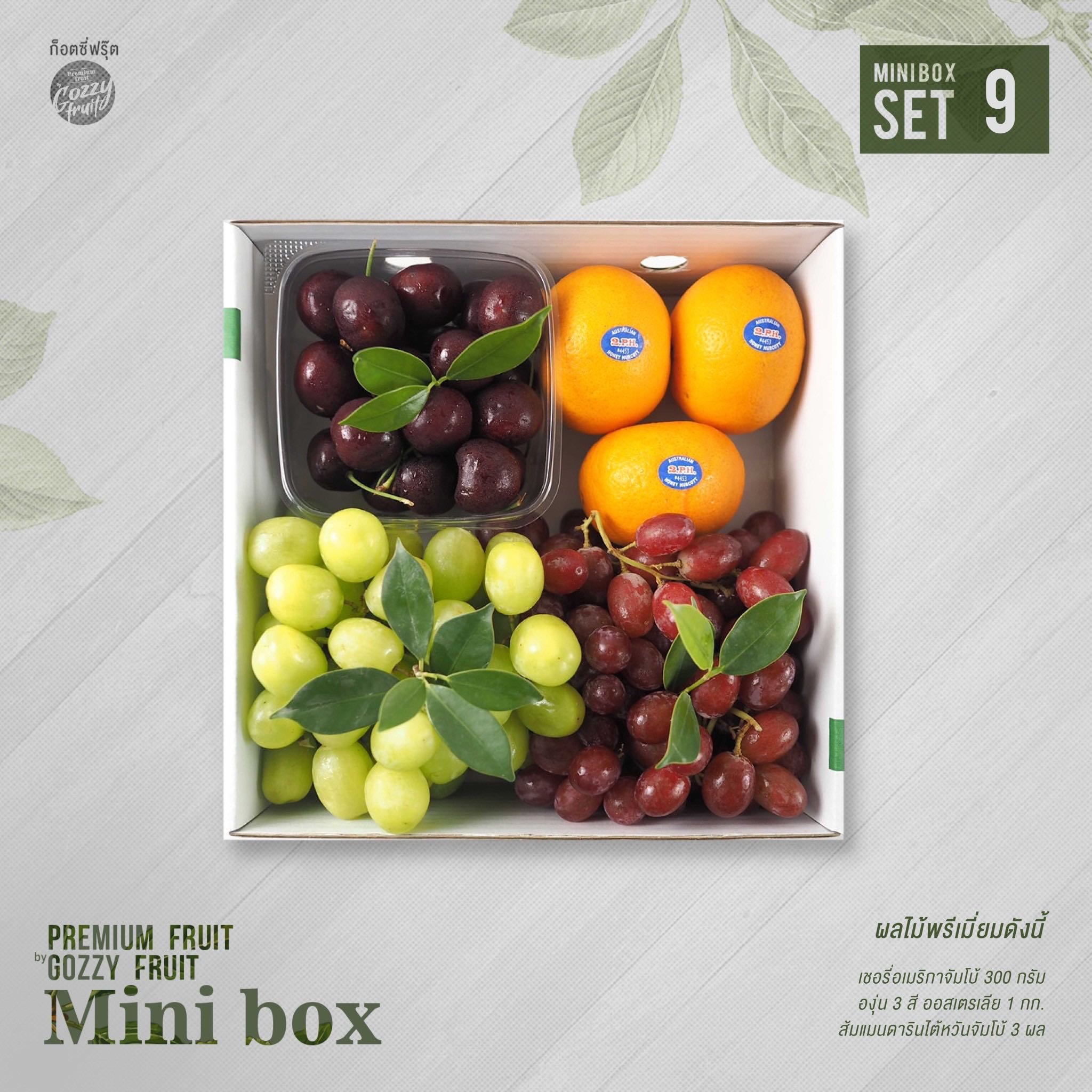 Mini box set 9  ยอดนิยม