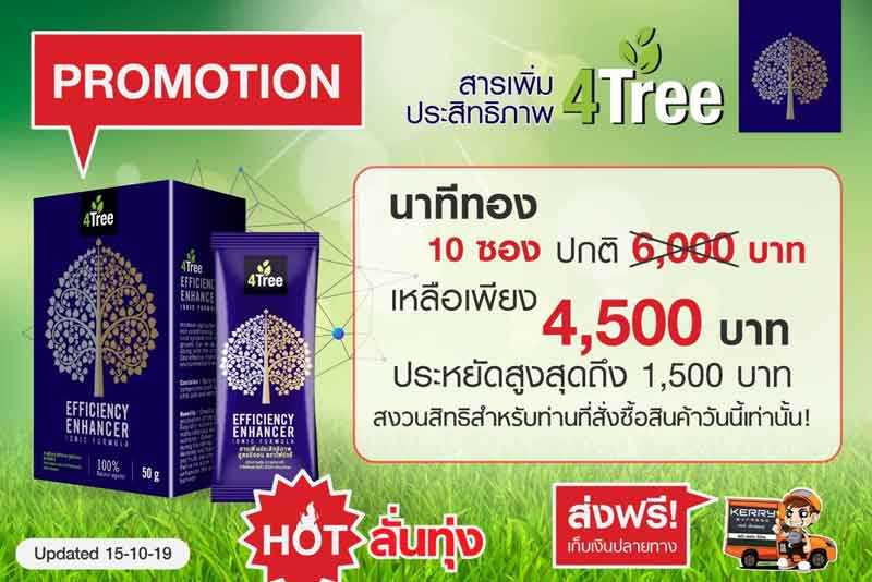 4Tree 10ซอง
