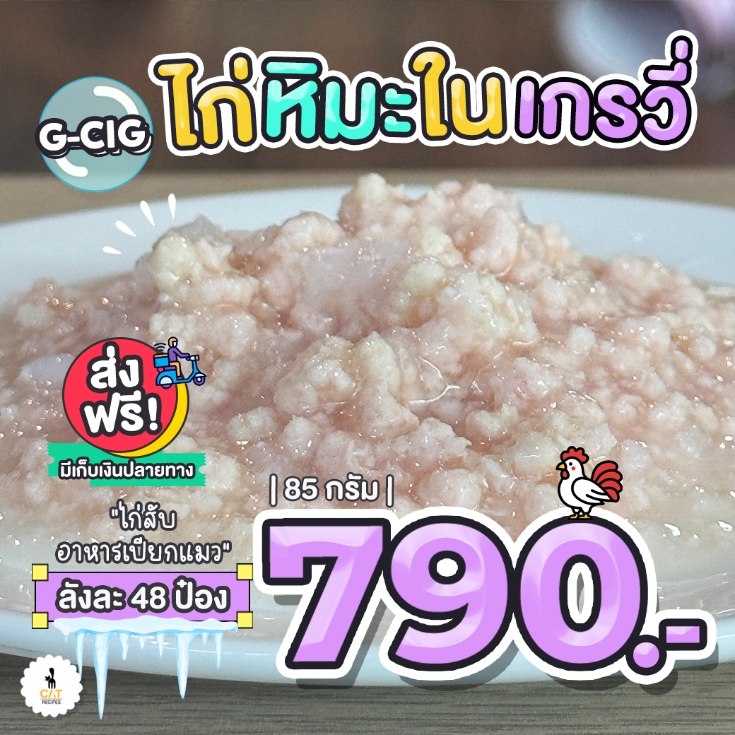 G-CIG ไก่หิมะในเกรวี่ 85 กรัม 48 กระป๋อง