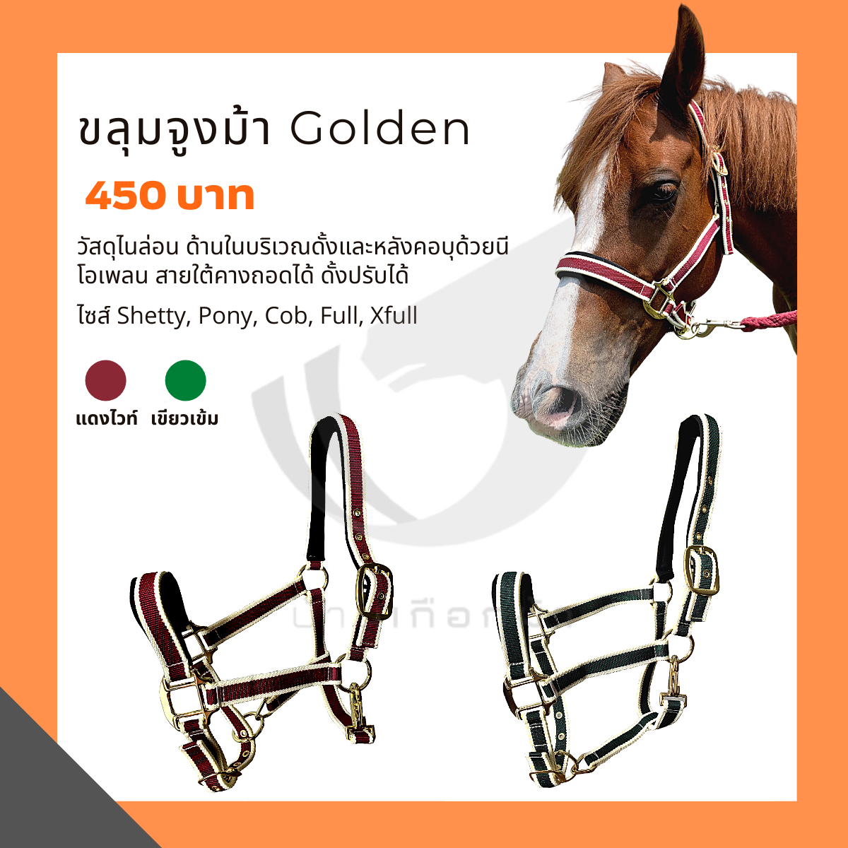 ขลุมจูงม้า Golden