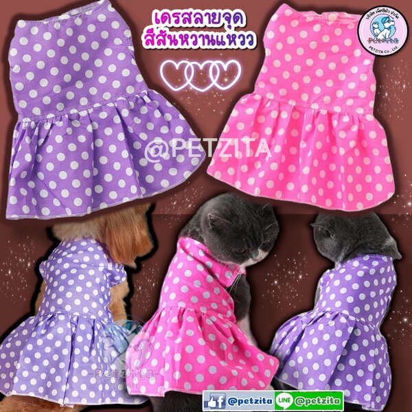 🇹🇭พร้อมส่ง🇹🇭💥👗 เดรสลายจุด สีสันหวานแหวว น่ารักสุดๆ for pet สุนัข หมา แมว🐶🐱🐰💕