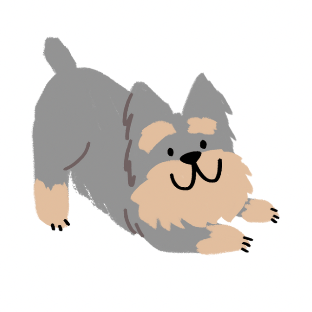 An Image