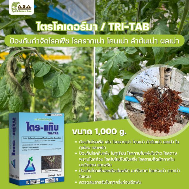 ทีเอบี บีทีเอ / TAB BTA 1,000 g.