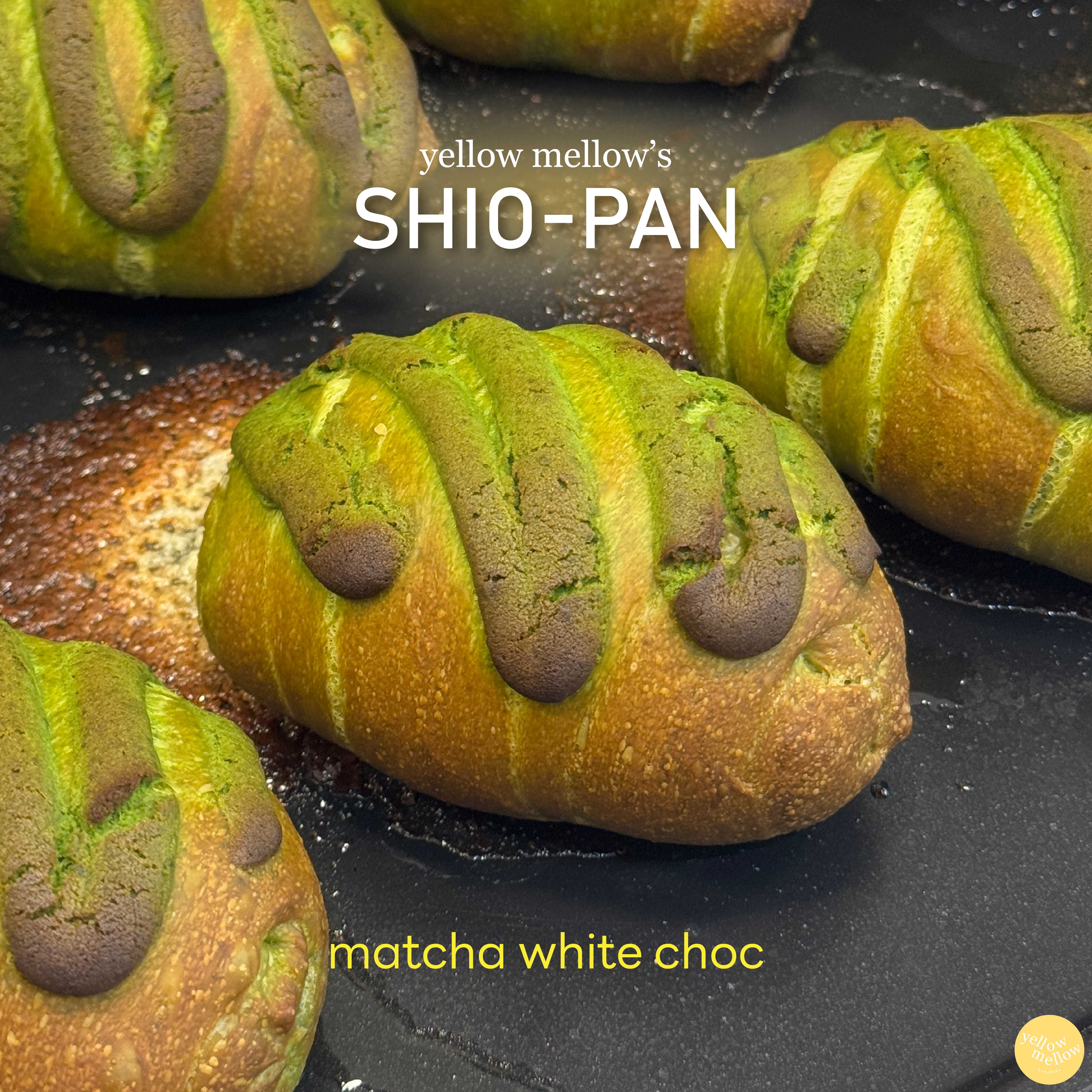 Yellow Mellow's Shio-Pan ชิโอะปัง 塩パン / โซกึมปัง 소금빵 / ขนมปังเกลือ รส Matcha White Choc (1 ชิ้น)