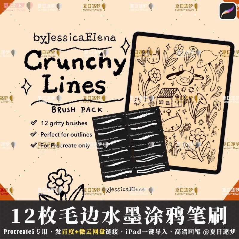 BFA051 Procreate บรัชวาดการ์ตูน นุ่มฟู แฟนซี น่ารัก 12 บรัช