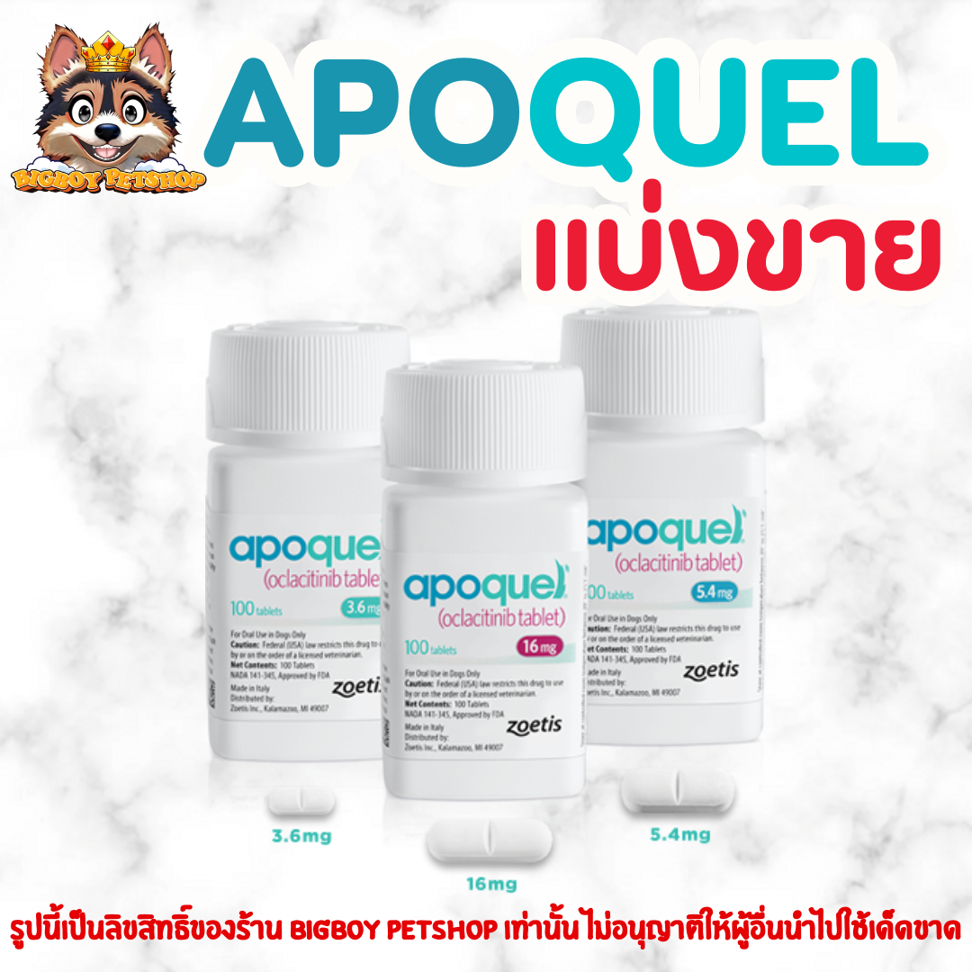 แบ่งเม็ด! Apoquel อะโพเควล สำหรับสัตว์เลี้ยง
