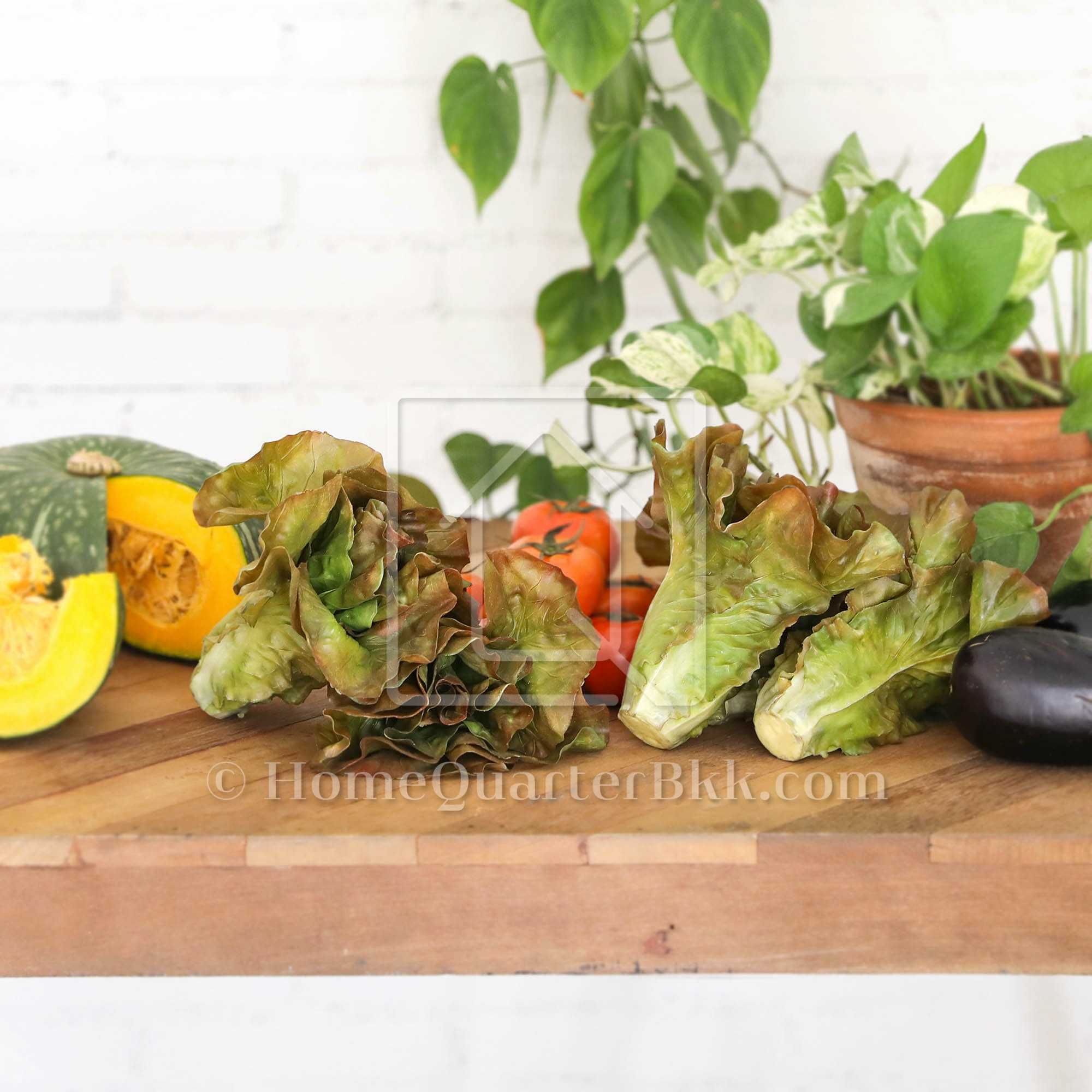 ผักเทียม สำหรับตกแต่ง | Decoration Veggie