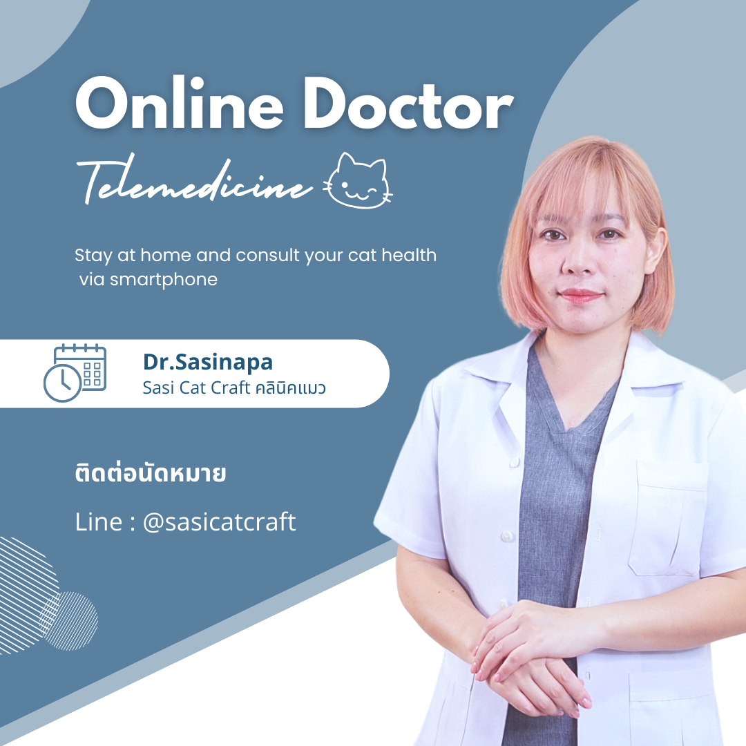 ปรึกษากับคุณหมอทางโทรศัพท์ Telemedicine