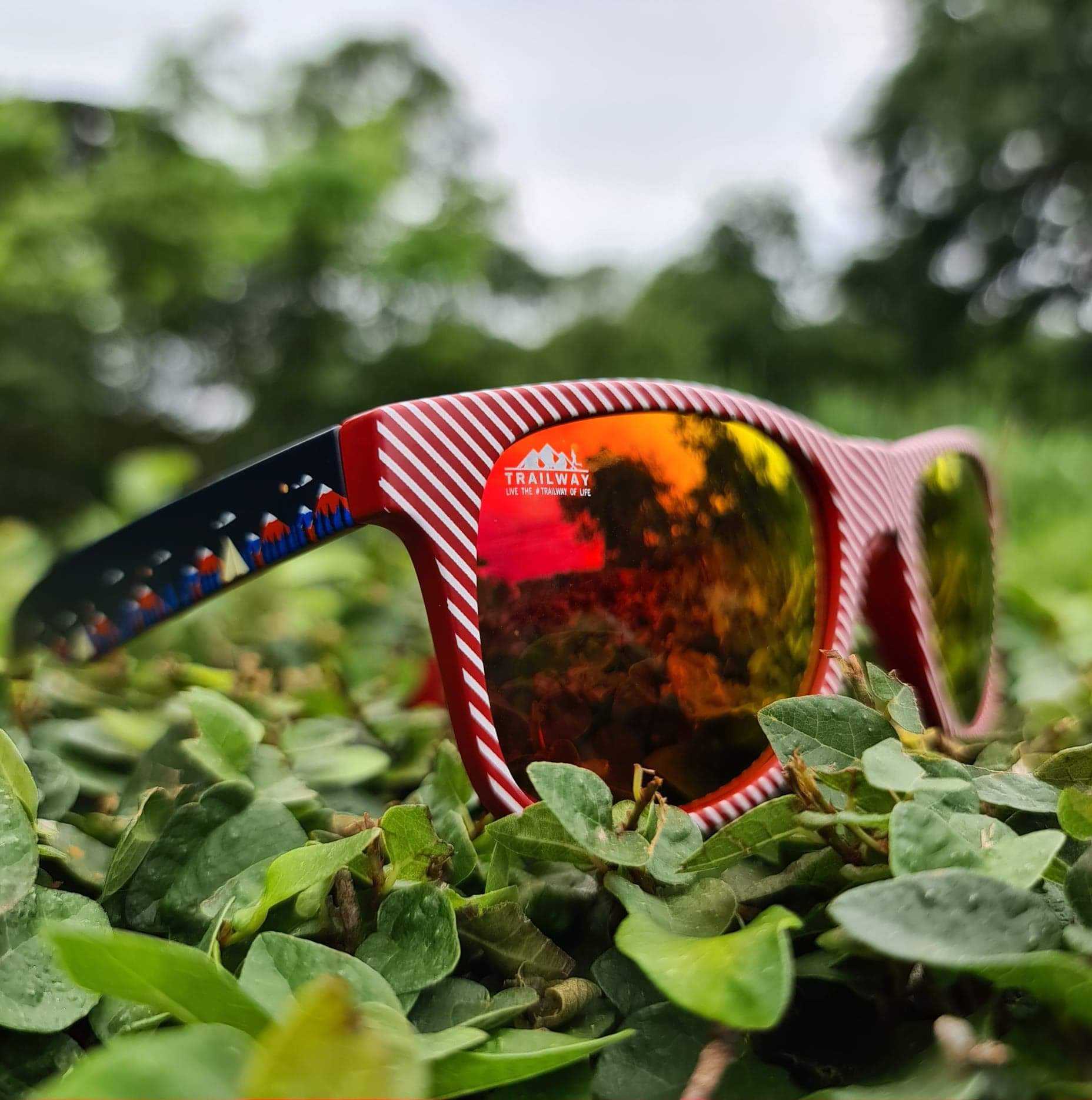 LSD Polarized Len sunglasses 