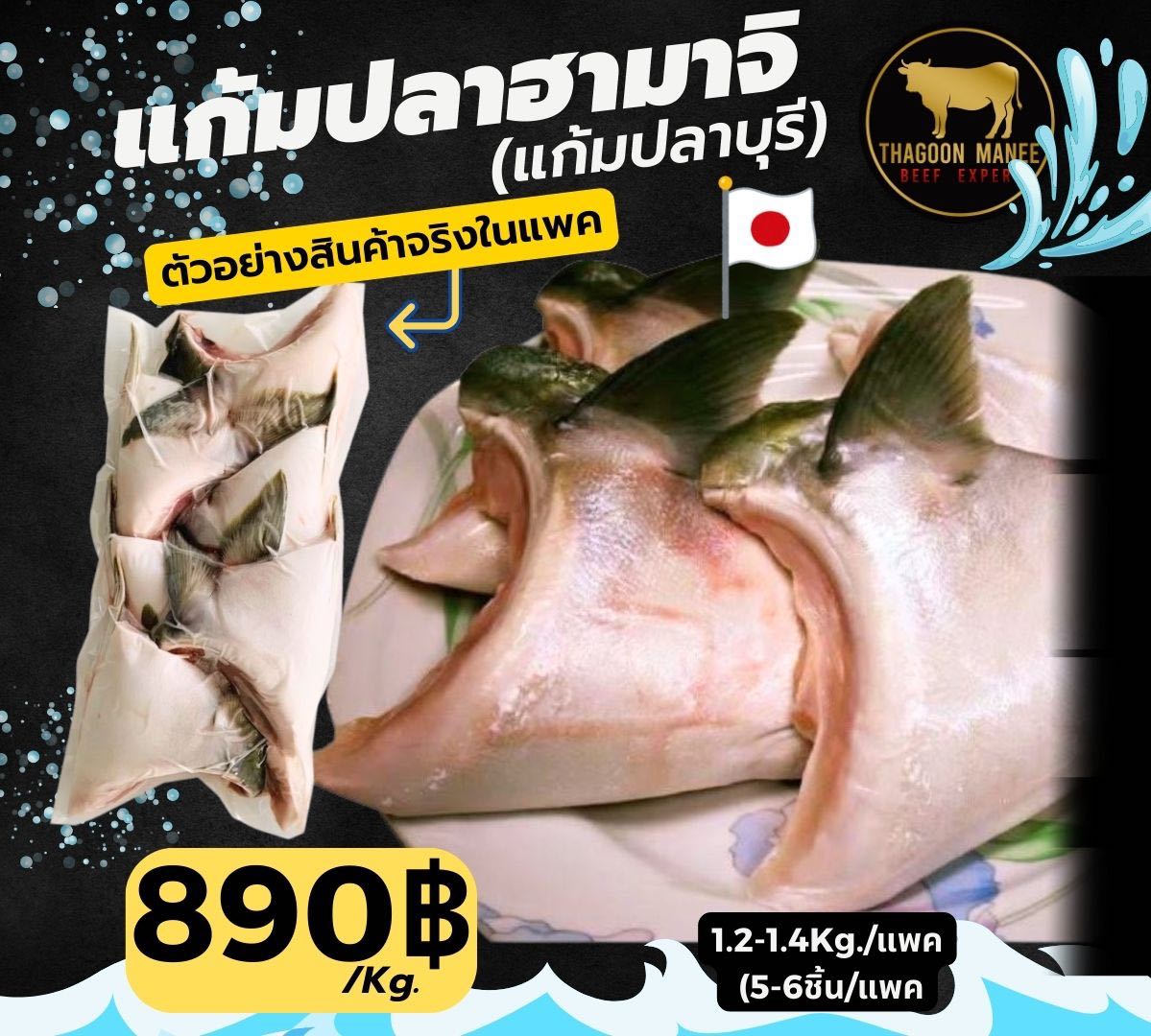 แก้มปลาฮามาจิ (แก้มปลาบุรี) เนื้อละเอียด ชุ่มฉ่ำ จะย่างเกลือ หรือย่างซีอิ๋วก็อร่อย