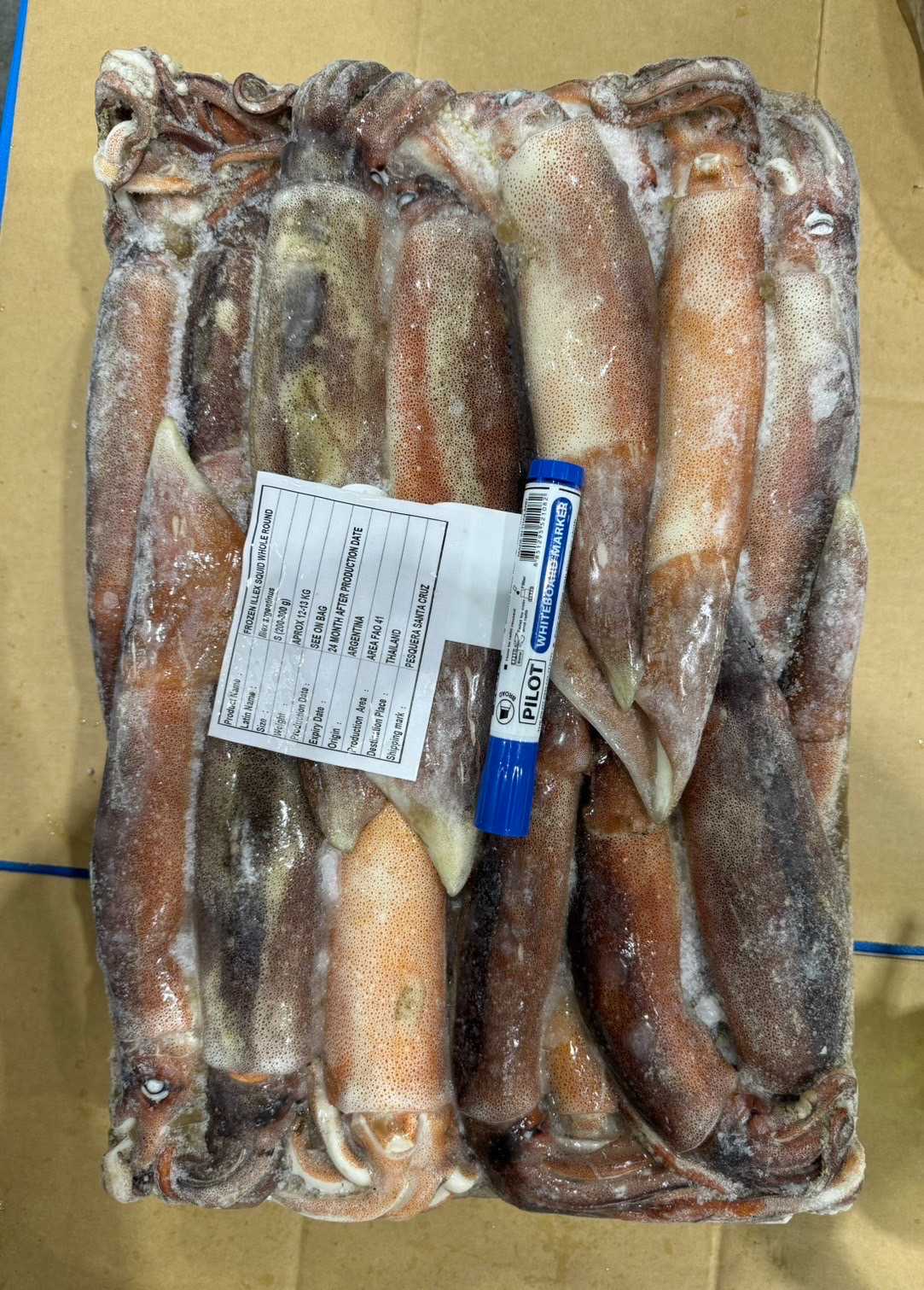 หมึกอาเจน