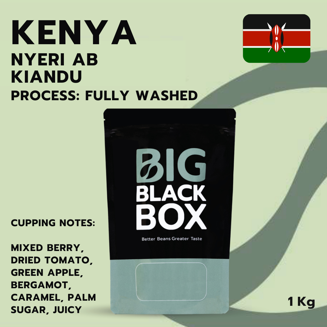 (1G-AF-KE-S-017) สารกาแฟ Kenya Nyeri AB Kiandu Fully Washed  1kg