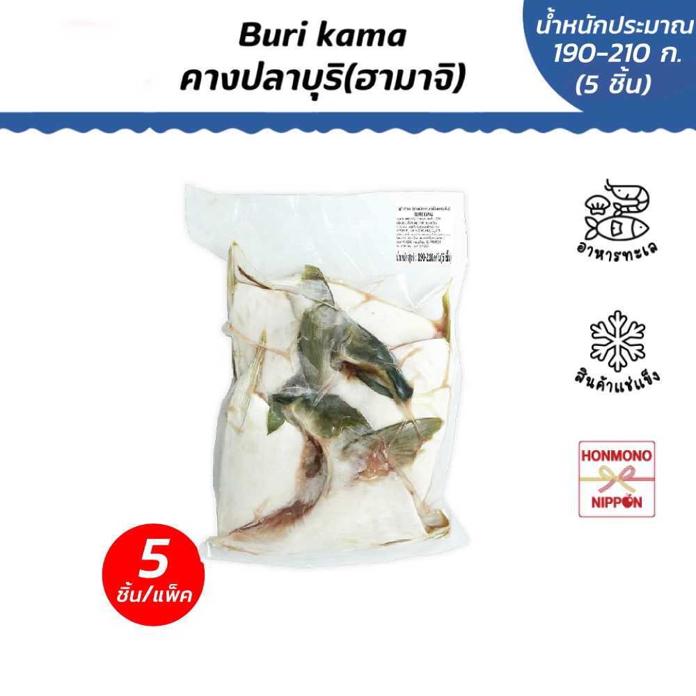 คางปลาบุรี (ฮามาจิ) แช่แข็ง ขนาด 190-210 ก./ชิ้น (จำนวน 5 ชิ้น) (สินค้าแช่แข็ง) (FD-S04-P002)