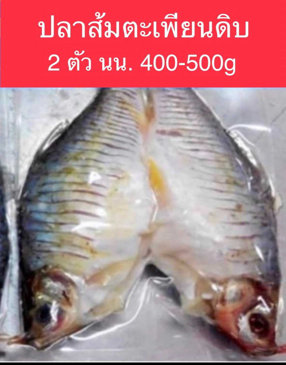 ปลาส้มตะเพยน(ดิบ) 2-3 ตัว 400 กรัม