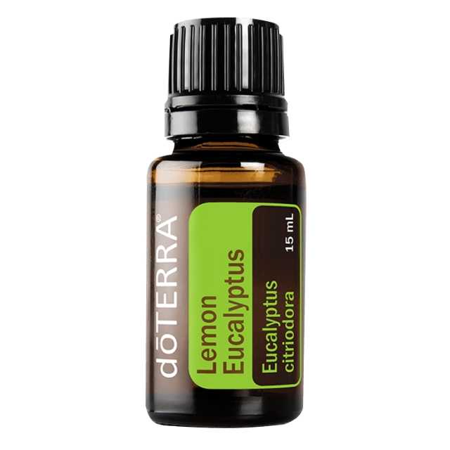Lemon Eucalyptus -  เลมอน ยูคาลิปตัส - 16 PV