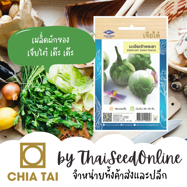 CTOP เมล็ดพันธุ์ มะเขือเจ้าพระยา ตราเจียไต๋ Light Green Round Eggplant Chao phaya