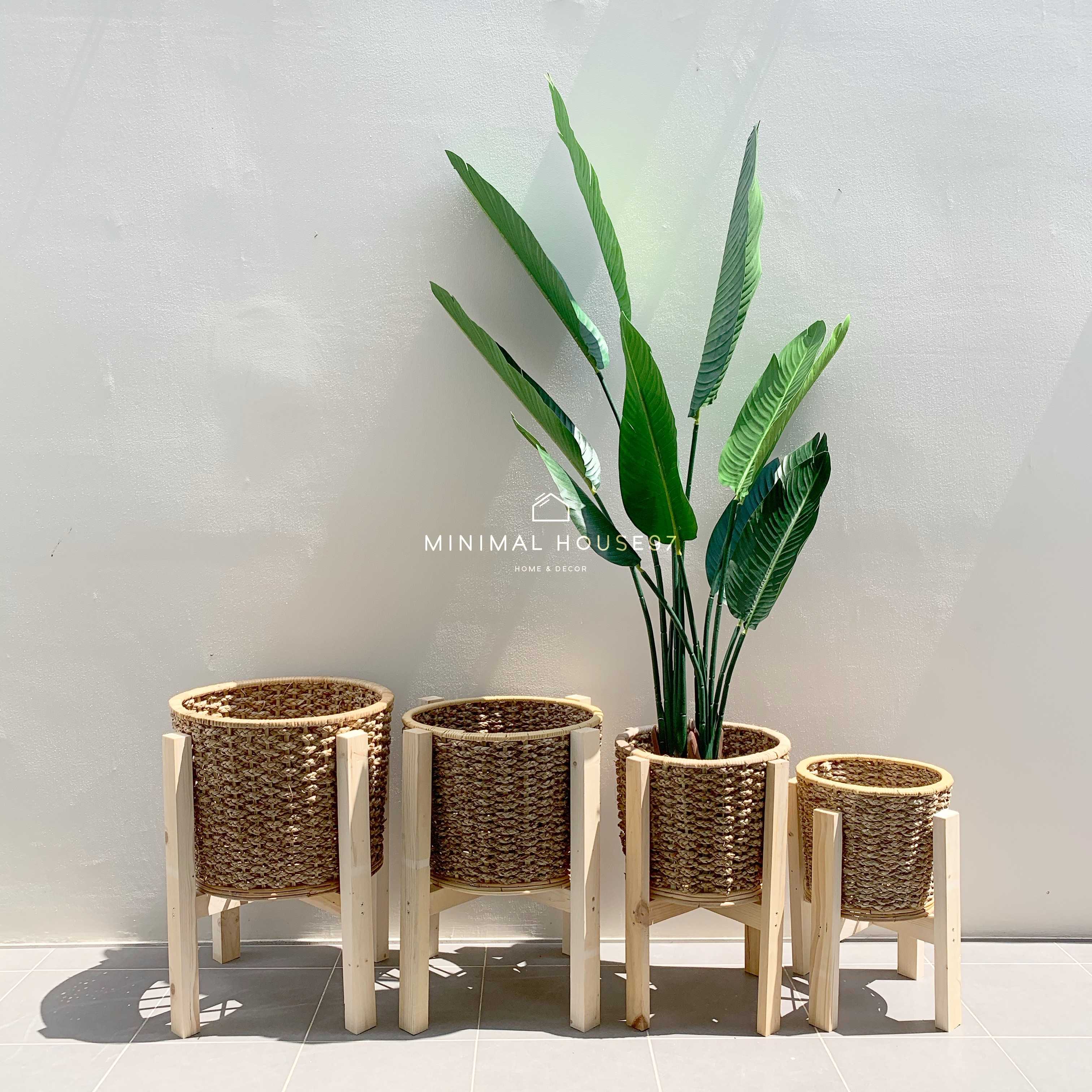 [พร้อมส่ง]  Plant Pot : กระถางต้นไม้ กระถางต้นไม้พร้อมขาตั้ง ขนาด 10-16นิ้ว