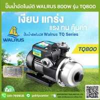 ปั๊มน้ำอัตโนมัติแรงดันคงที่ WALRUS 750W รุ่น TQ800 (สินค้าขายดี) ส่งฟรี