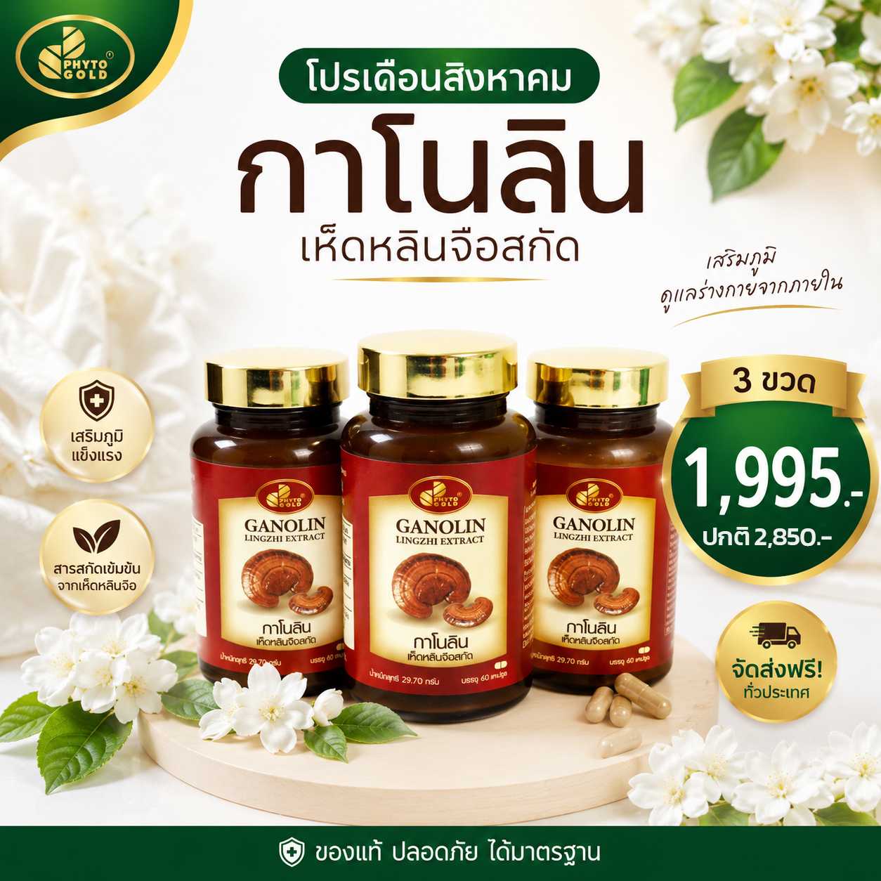 ✨️ ซื้อ 3 ราคาพิเศษ กาโนลินเห็ดหลินจือสกัด 60 แคปซูล/ขวด