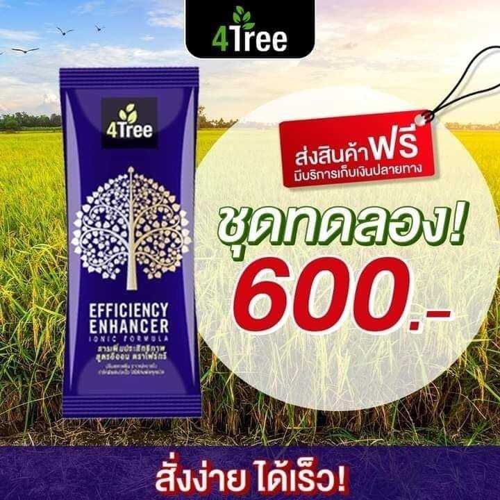 4Tree 1 ซอง
