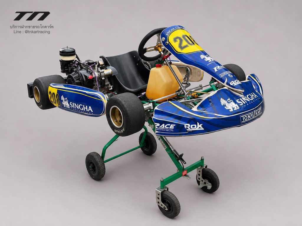Tony Kart Singha - 270cc