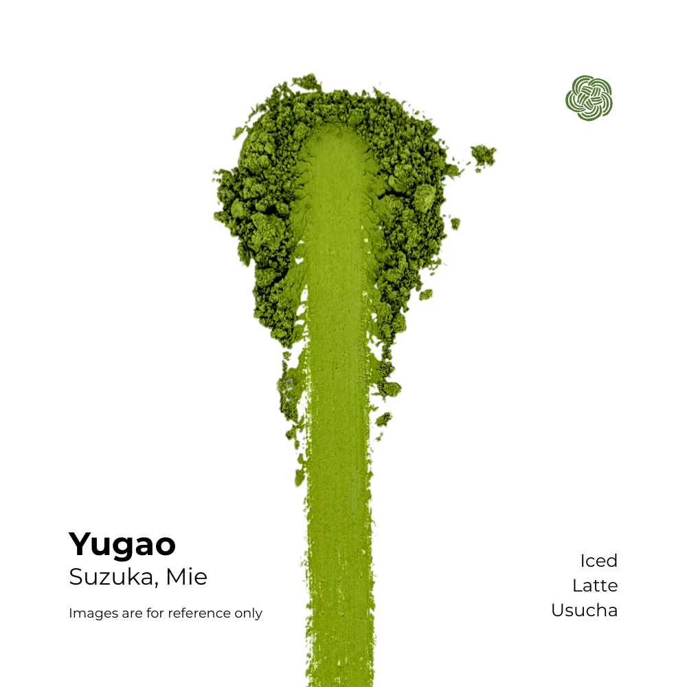 MATCHA : YUGAO, MIE