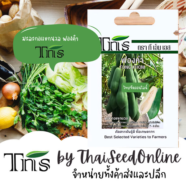 TNS(ทีเอ็นเอส) TNS(ทีเอ็นเอส) TNS เมล็ดพันธุ์แบบซองเล็ก มะละกอ แขกนวล ฟองคำ ตรา ที เอ็น เอส มะละก...