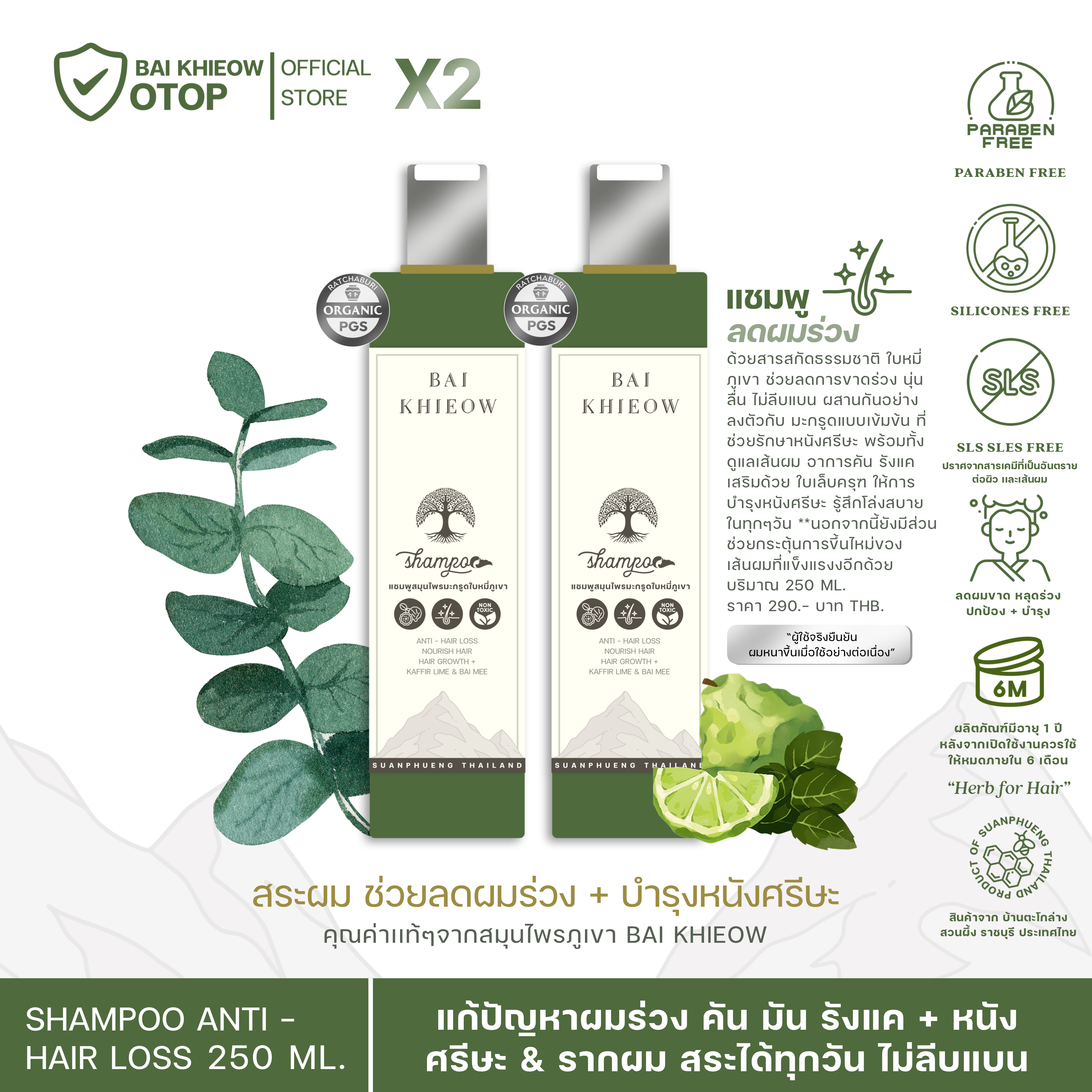 BAI KHIEOW  ใบเขียว (Hair) : เเชมพู X2 ) เเชมพูสมุนไพรมะกรูดใบหมี่ภูเขา