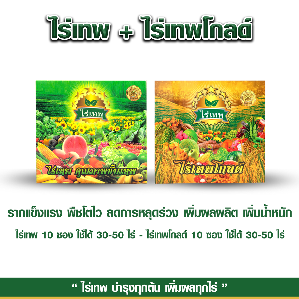 ไร่เทพ 1 กล่อง +ไร่เทพโกลด์ 1 กล่อง รากดี พืชโตไว เสริมดอก ออกผลไว ทนฝน ทนแล้ง เพิ่มผลผลิต