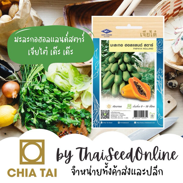 Chia Tai(เจียไต๋) CTOP เมล็ดพันธุ์ มะละกอฮอลแลนด์ สตาร์ 5เมล็ด ตราเจียไต๋ มะละกอ Papaya