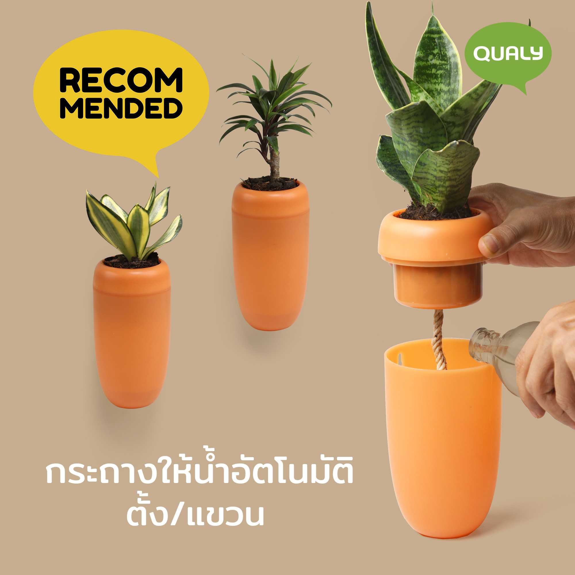 Care Pot Self watering Plant pot กระถางให้น้ำอัตโนมัติ ตั้ง / แขวน ดีไซน์ แครอท Qualy(ควอลี่)