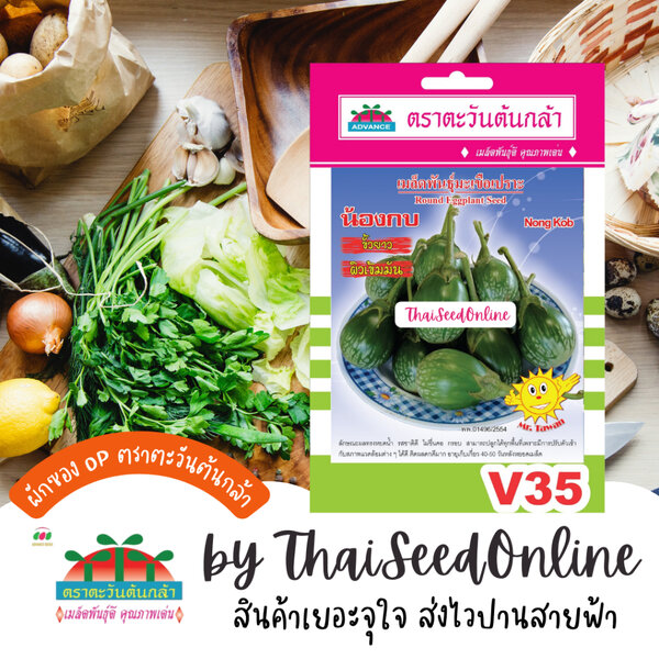 Advance Seeds(ตราตะวันต้นกล้า) ADVOP ซฟ เมล็ดพันธุ์ มะเขือเปราะคางกบ น้องกบ ตราตะวันต้นกล้า V35