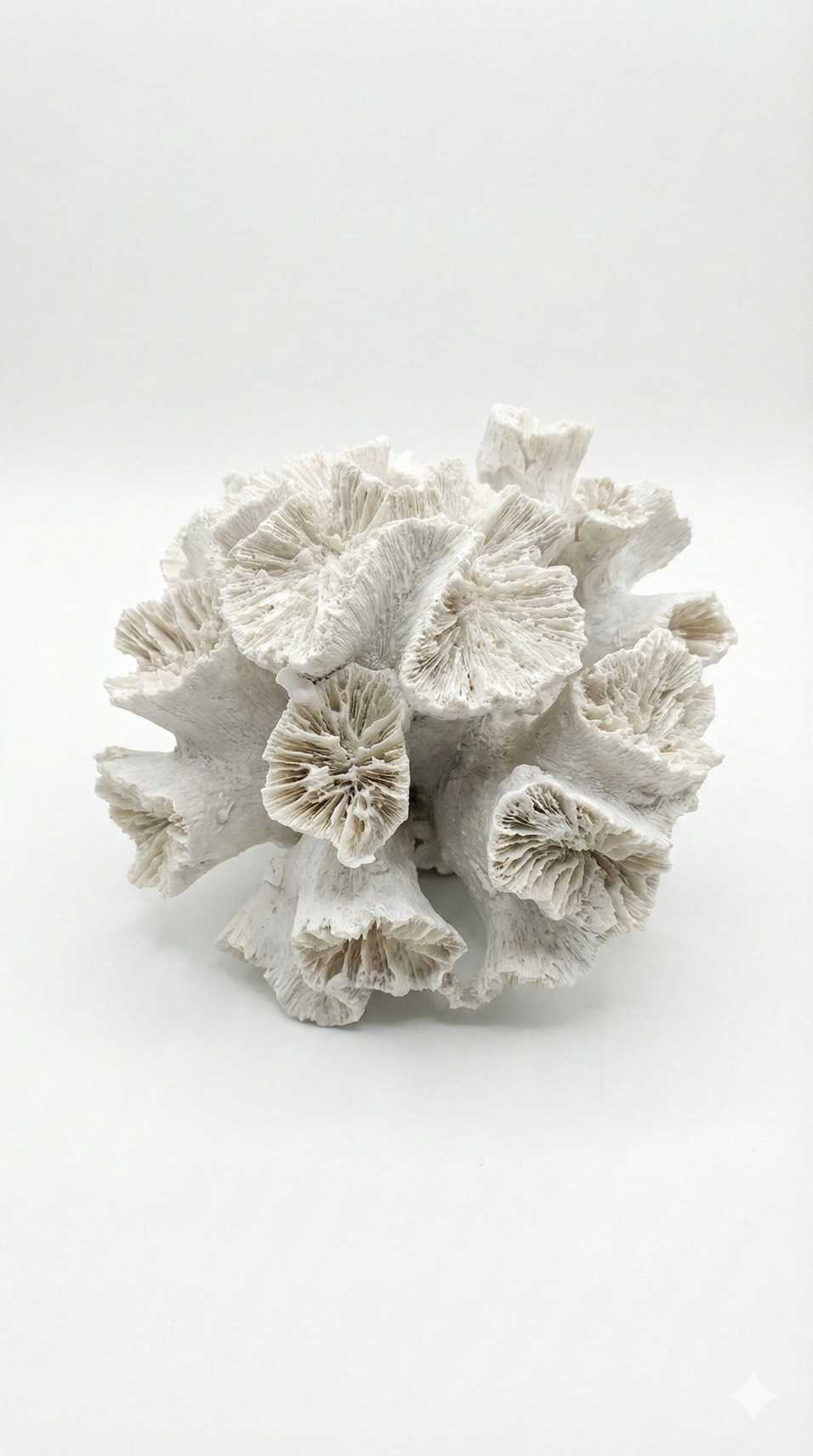 ปะการังสีขาวตกแต่ง ปะการังเรซิ่น ปะการังปลอม ของแต่งบ้านแนวทะเล