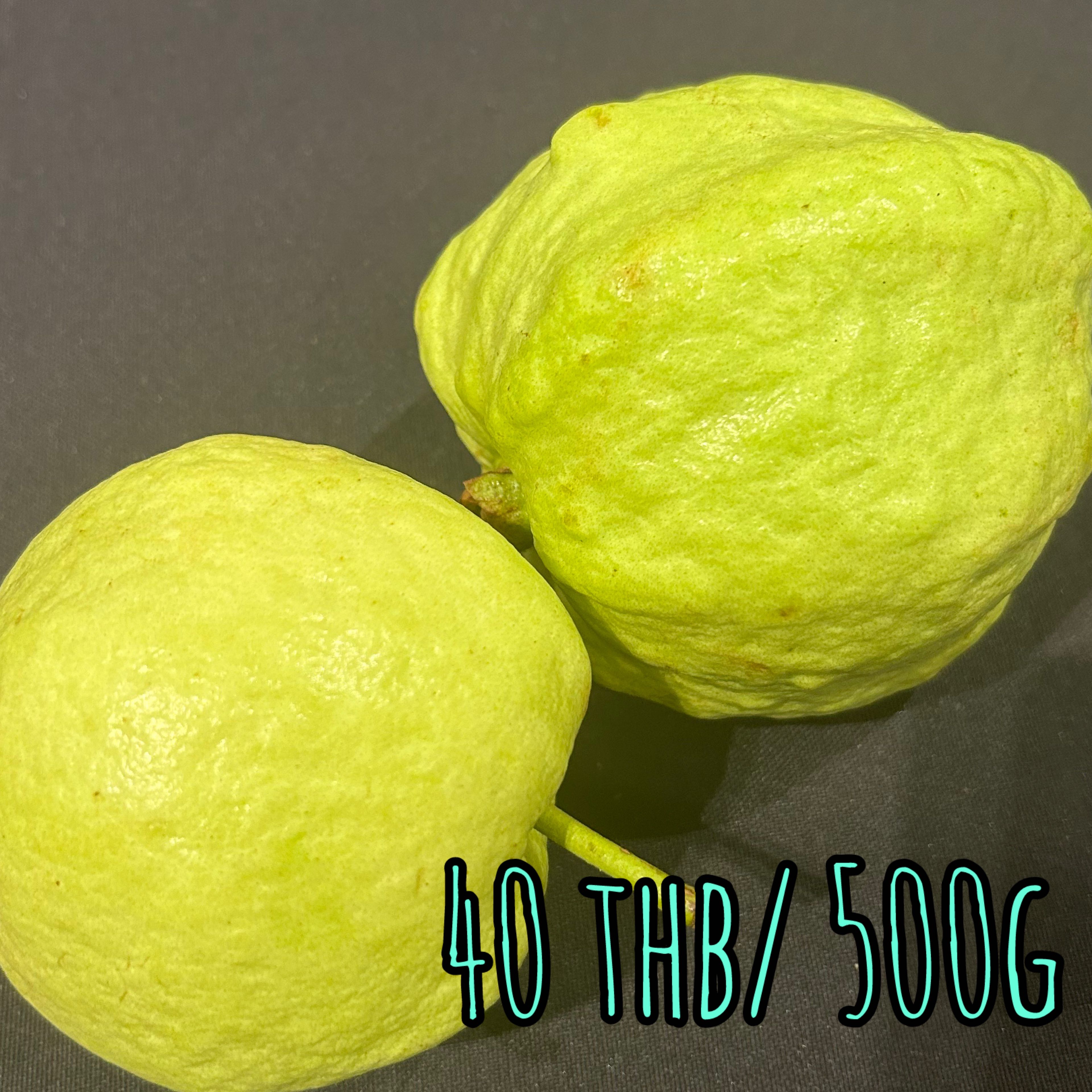Guava グアバ ฝรั่ง