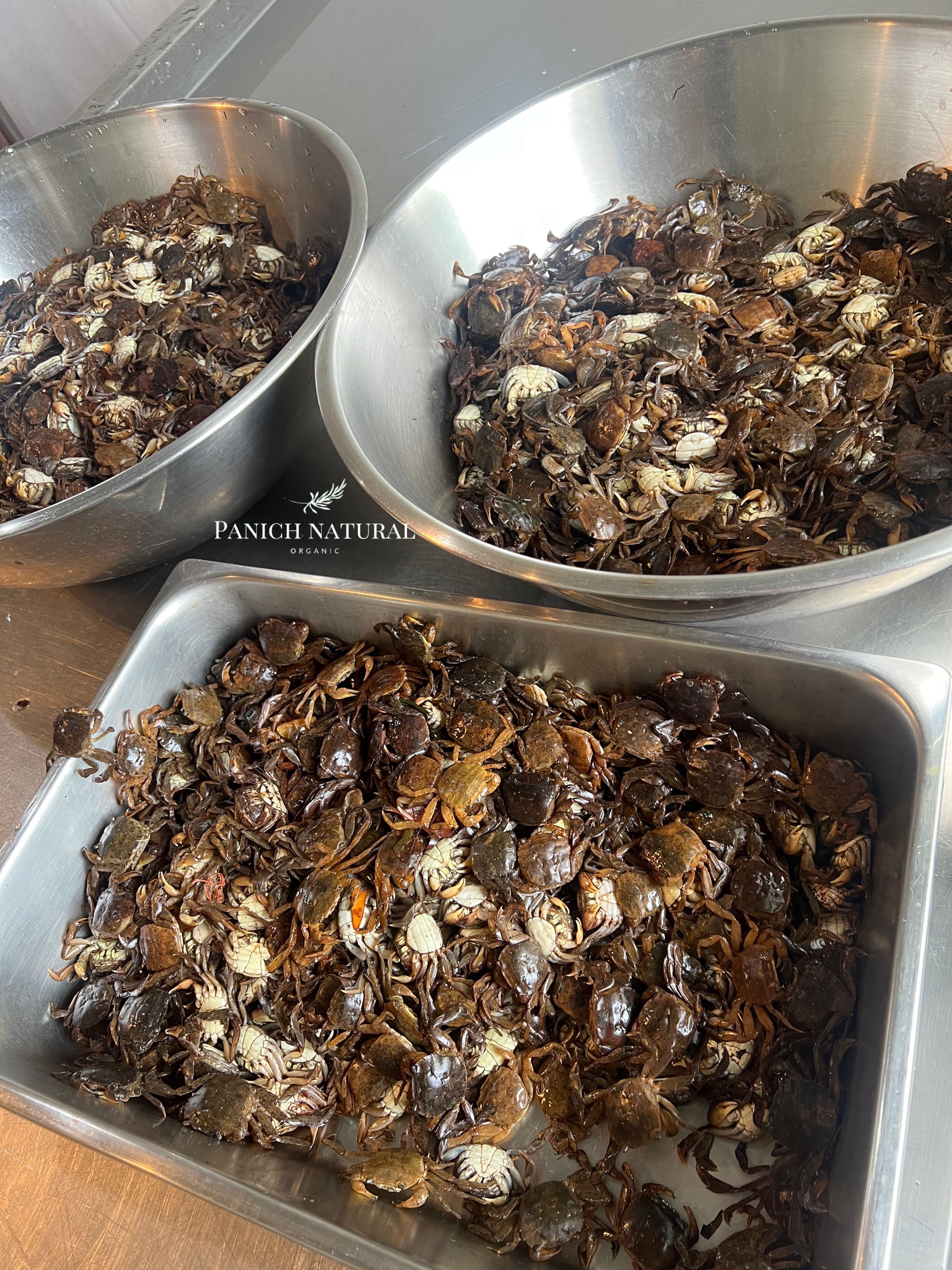 ปูแป้น(ปูใบไม้) ดองน้ำปลา (หัวน้ำปลาหอมมาก)