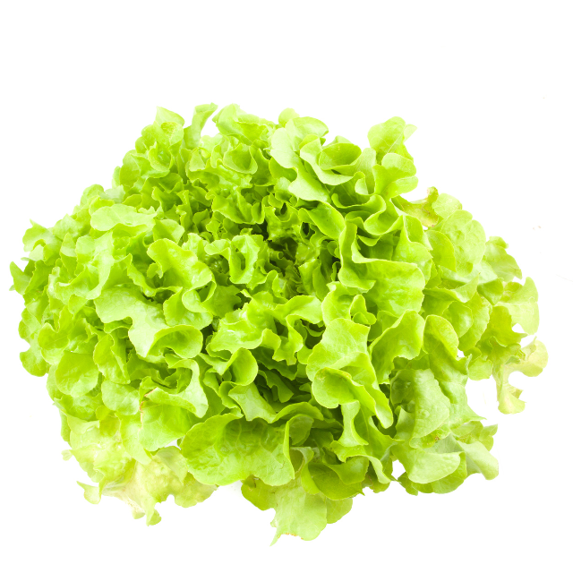 กรีนโอ๊ค 500g