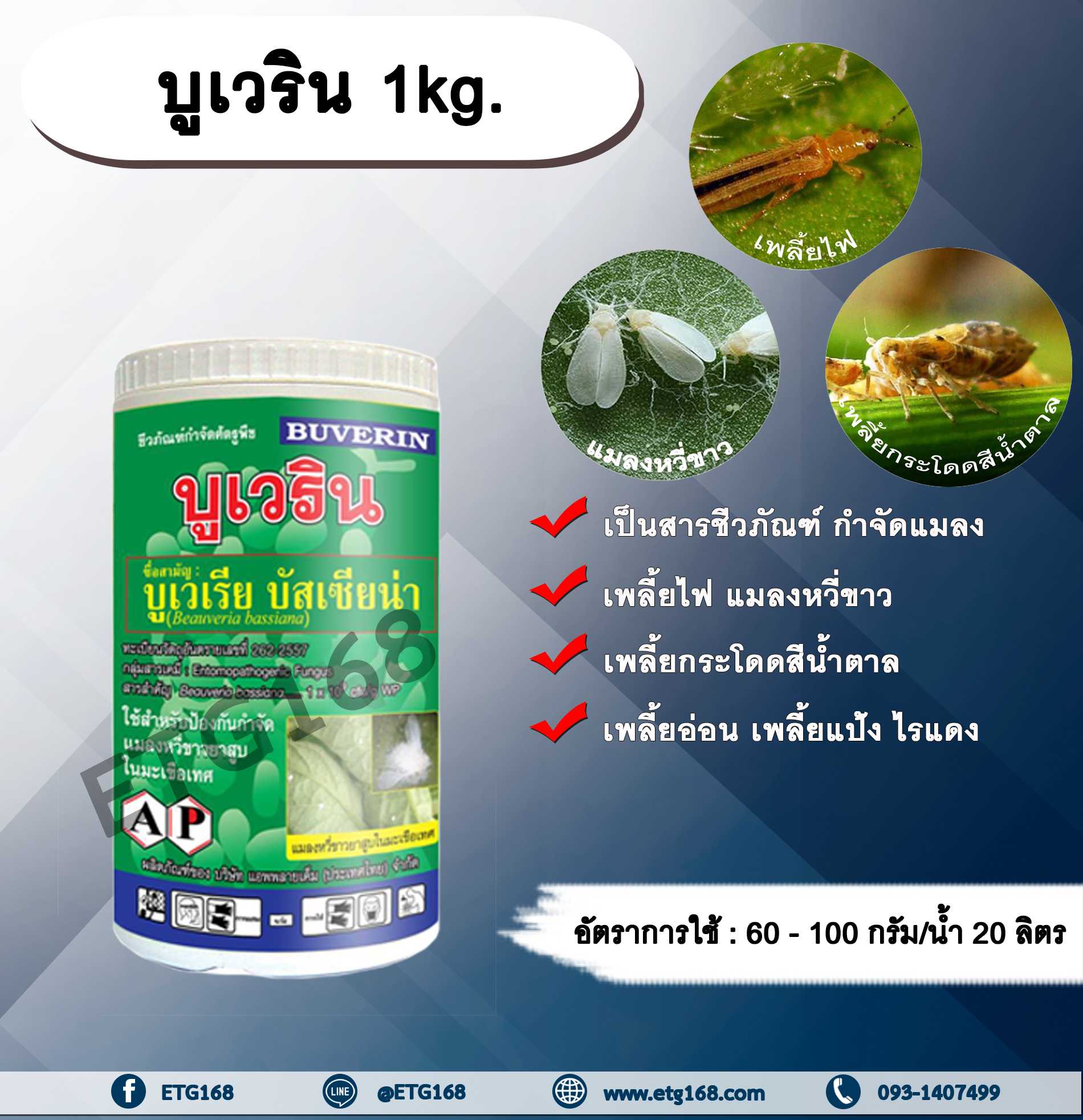 บูเวริน 1kg. บิวเวอร์เรีย บัสเซียน่า บูเวเรีย สารชีวภัณฑ์ สารกำจัดแมลง อินทรีย์ เพลี้ยไฟ แมลงหวี่ขาว