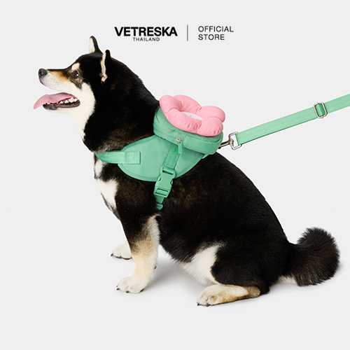 VETRESKA  Flora Pet Backpack & Harness 3 in 1 Set (M)