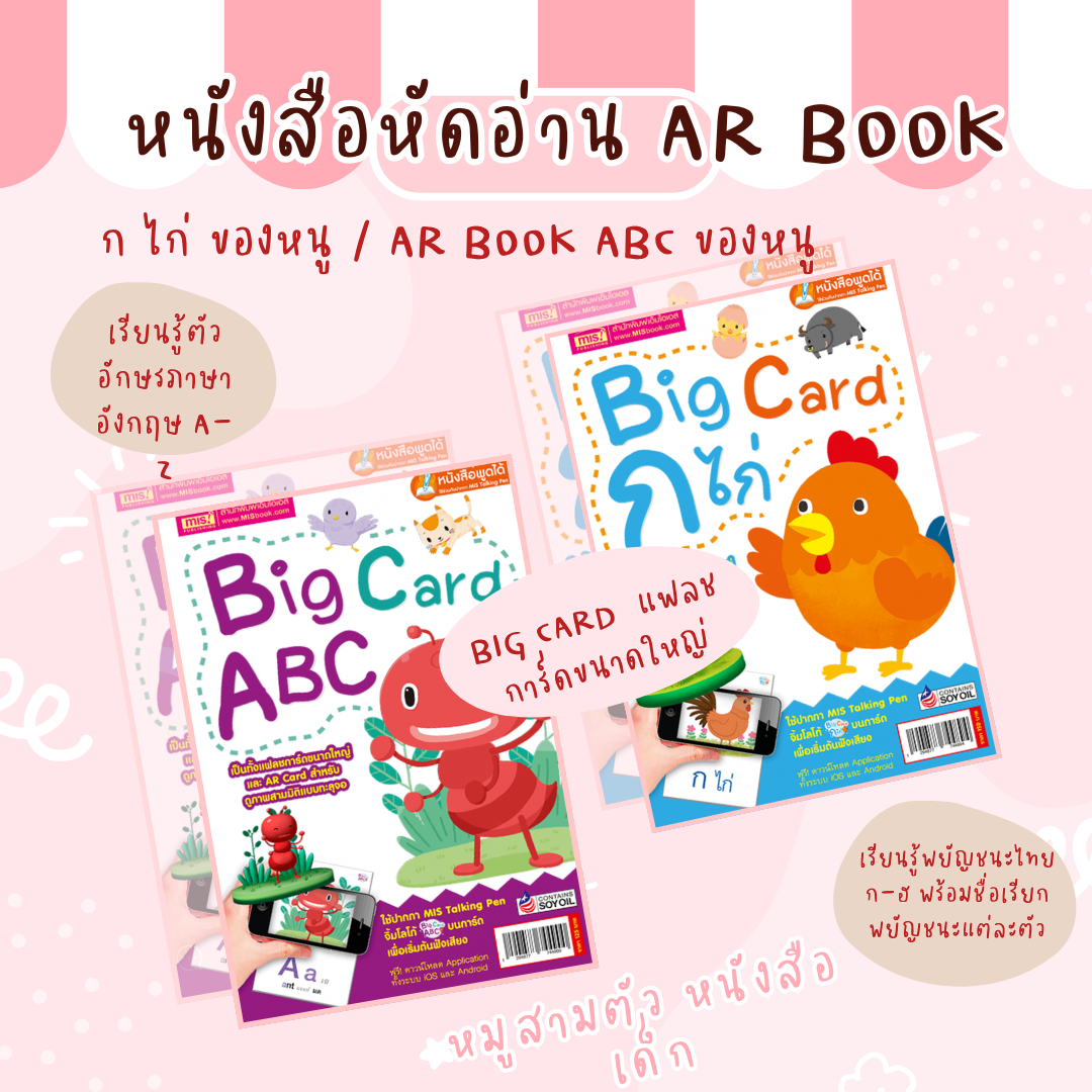 แฟลชการ์ด บิ๊กการ์ด จำนวน 3 หมวด